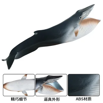 Имитация на морския животински модел кит Детско познание Статична твърда пластмасова играчка Нова синя китова акула